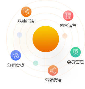 深圳分销系统开发-分享经济